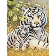 Load image into Gallery viewer, Craft &#39;n Stitch Wild Animals Sewing Crafts Gift Box for Teens Ages 13+