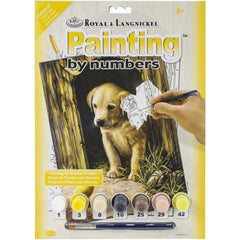 DIY Royal Langnickel Labrador Puppy Paint by Number Kit