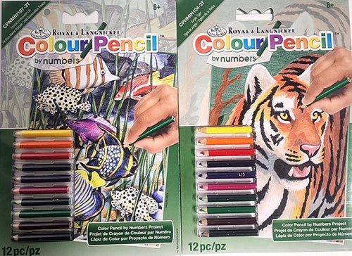 DIY Tiger Tropical Fish Kids Color by Number Craft Kit Bundle Lot