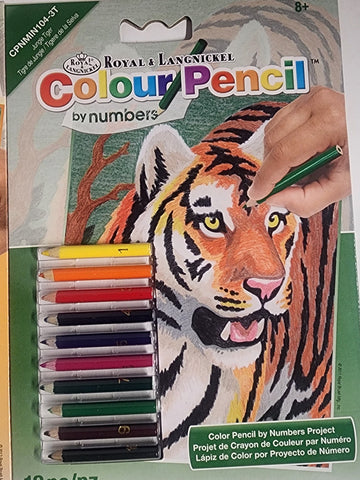 DIY Dinosaur Tiger Wolf Kids Color by Number Craft Kit Bundle Lot