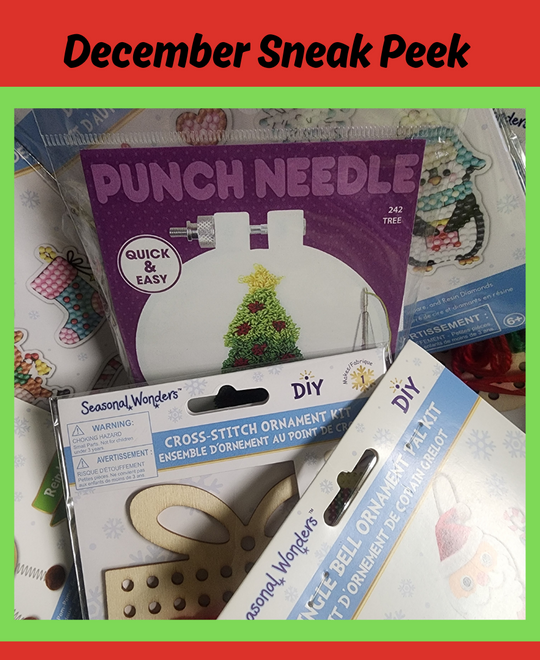 Kids Level 2 - Needlepoint & Punch Needle - Craft Subscription Box (Recommended Age 8+)