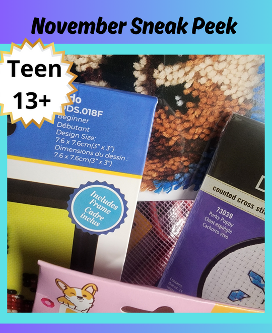 Craft n' Stitch Monthly Subscription Craft Box for Teens Ages 13+