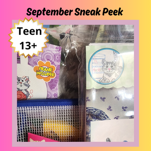 Craft n' Stitch Monthly Subscription Craft Box for Teens Ages 13+