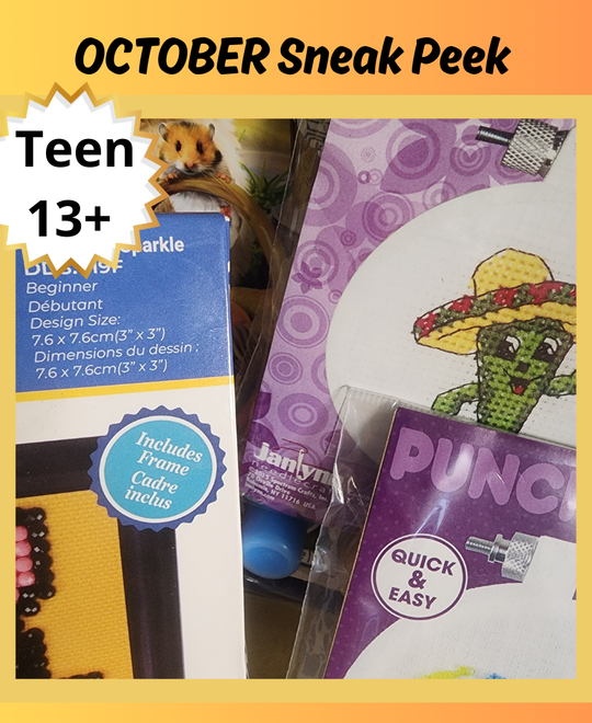 Craft n' Stitch Monthly Subscription Craft Box for Teens Ages 13+