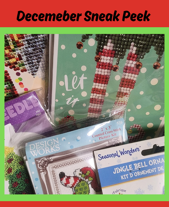 Kids Level 3 - Counted Cross Stitch & Punch Needle - Craft Subscription Box (Recommended Age 10+)