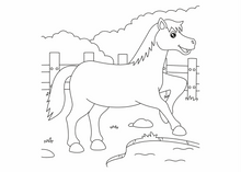 Load image into Gallery viewer, Craft &#39;n Stitch Horses Crafts Gift Box for Kids Ages 7-9