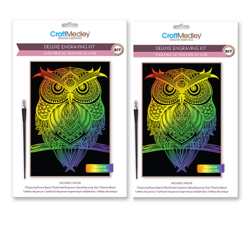 DIY Lg Rainbow Owl Holographic Kids Engraving Art Bundle Lot