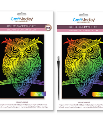 DIY Lg Rainbow Owl Holographic Kids Engraving Art Bundle Lot