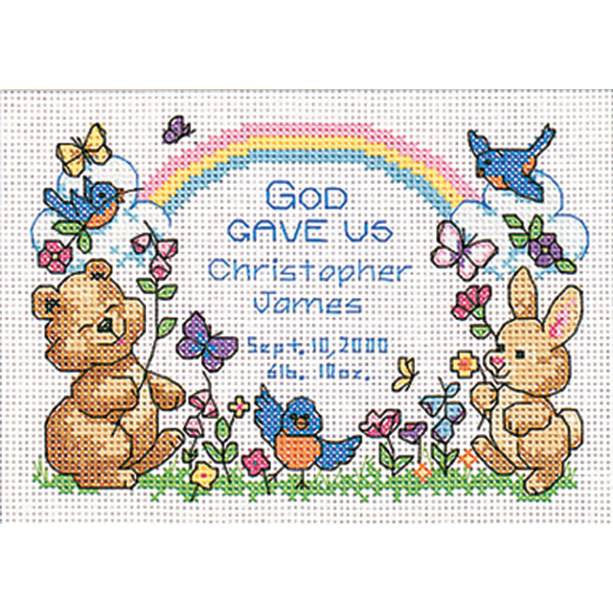 DIY Dimensions Gods Babies Birth Record Baby Counted Cross Stitch Kit