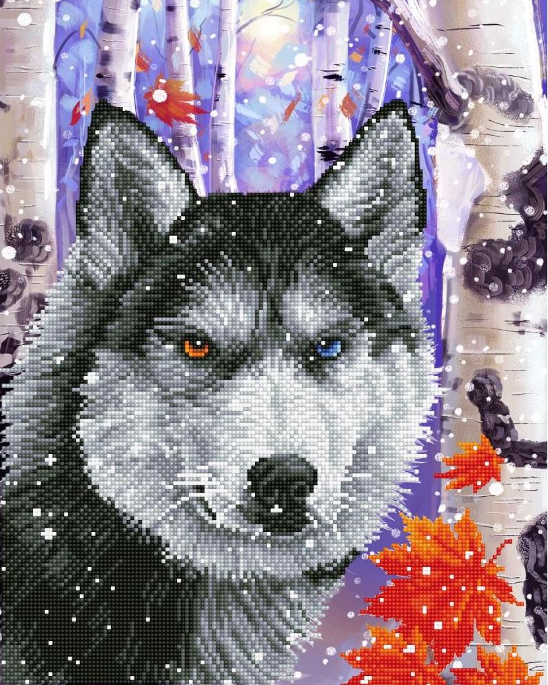 DIY Diamond Dotz Forest Wolf Wild Dog Snow Facet Bead Wall Hanging Picture Kit