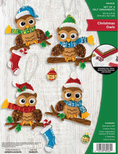 Load image into Gallery viewer, DIY Bucilla Christmas Owls Birds Holiday Owls on Branch Felt Ornament Kit 89462E