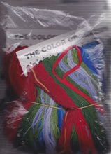 Load image into Gallery viewer, DIY Needle Treasures Winter Cardinals Birds Snow Needlepoint Stocking Kit 06921