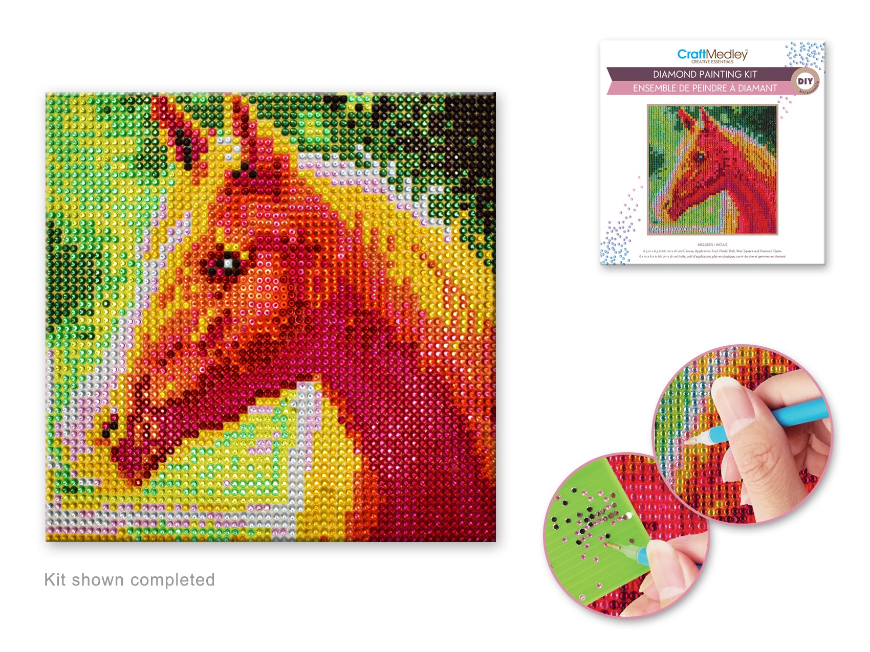 Diamond painting kit. This design features a horse head.