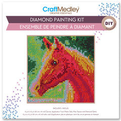 Diamond painting kit. This design features a horse head.