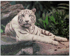 Diamond painting kit. This design features a white tiger sitting on a rock.