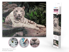 Diamond painting kit. This design features a white tiger sitting on a rock.